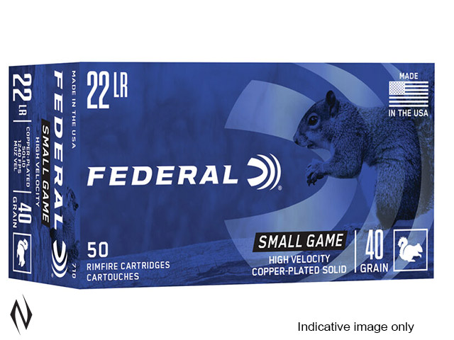 FEDERAL 22LR 40GR SOLID SV TARGET Image